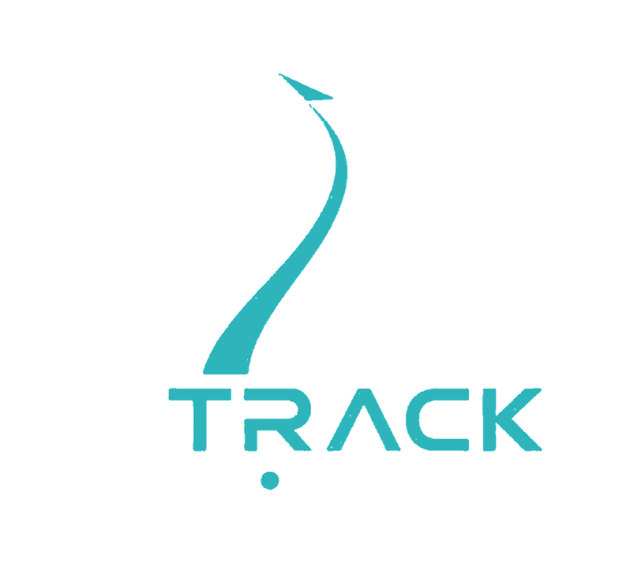 ON TRACK VISION